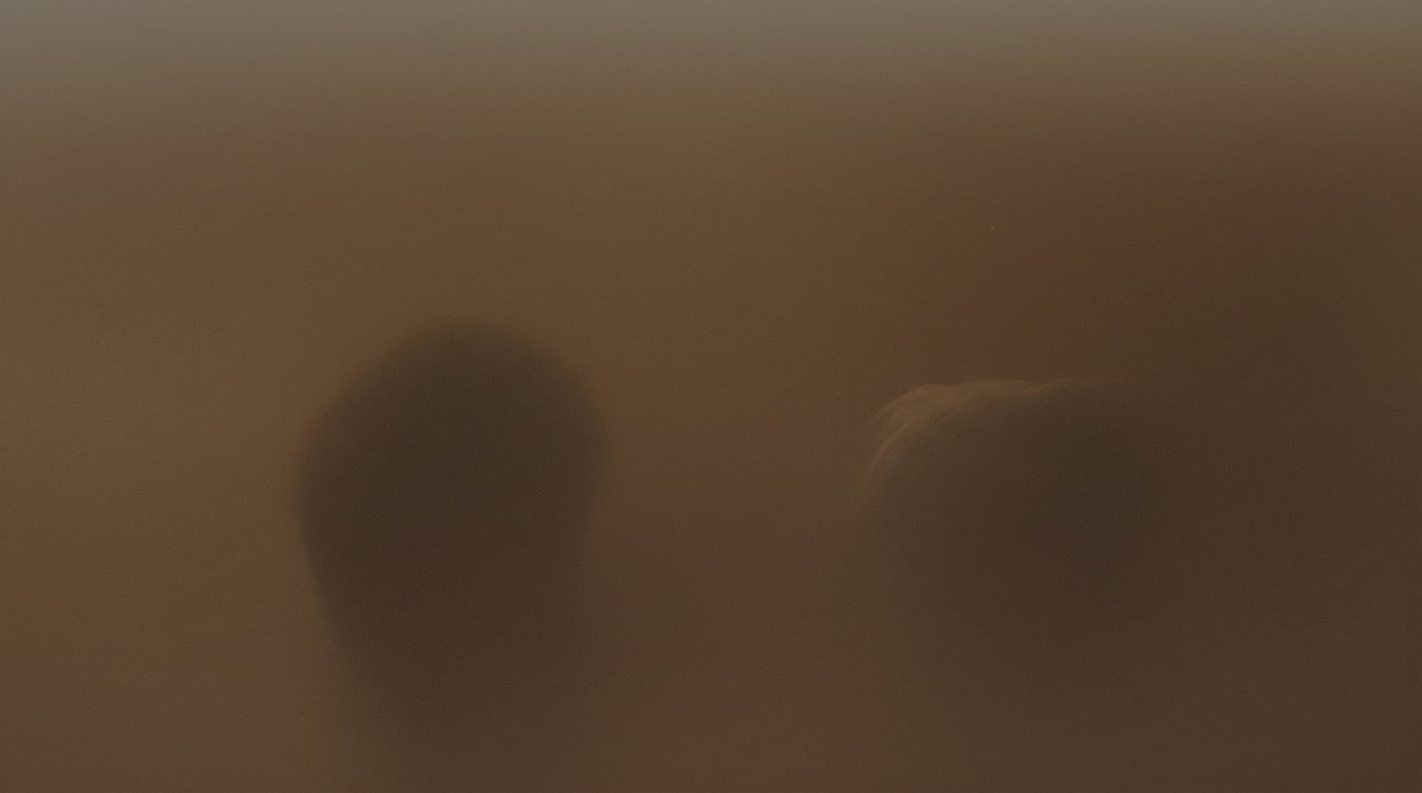 A young couple seen from behind sitting on a sofa together, looking at a phone screen that displays a warm AI-generated couple portrait, soft afternoon light.